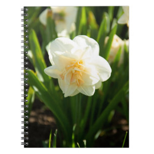Caderno Espiral Grandes narcisos brancos em um dia de primavera  