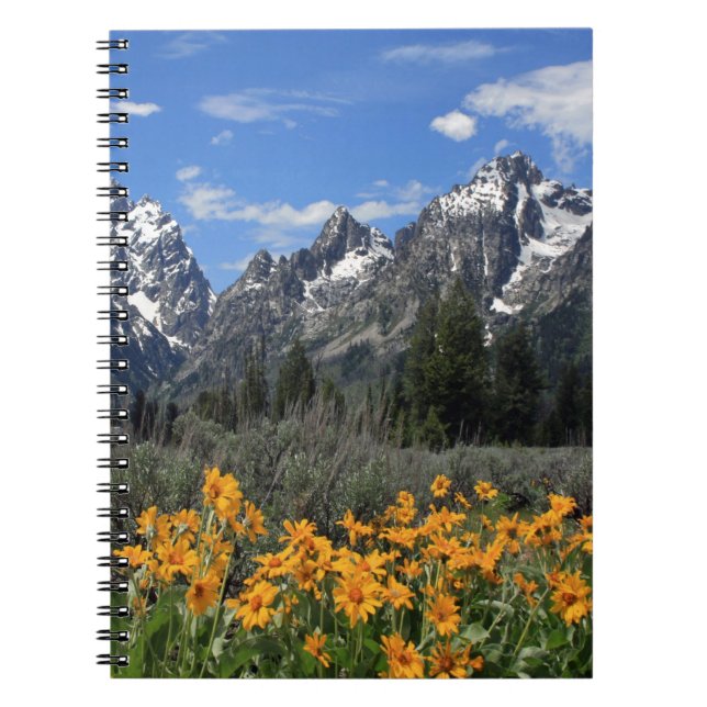 Caderno Espiral Grandes Tetos com Flores Amarelas (Frente)