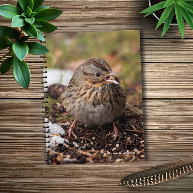 Caderno Espiral Grátis e Spunky Lincoln (Spunky Lincoln's Sparrow in the Snow Journal Cover Photo)