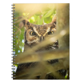 Caderno Espiral Great Horned Owl Wildlife Nature Photo Art Print 