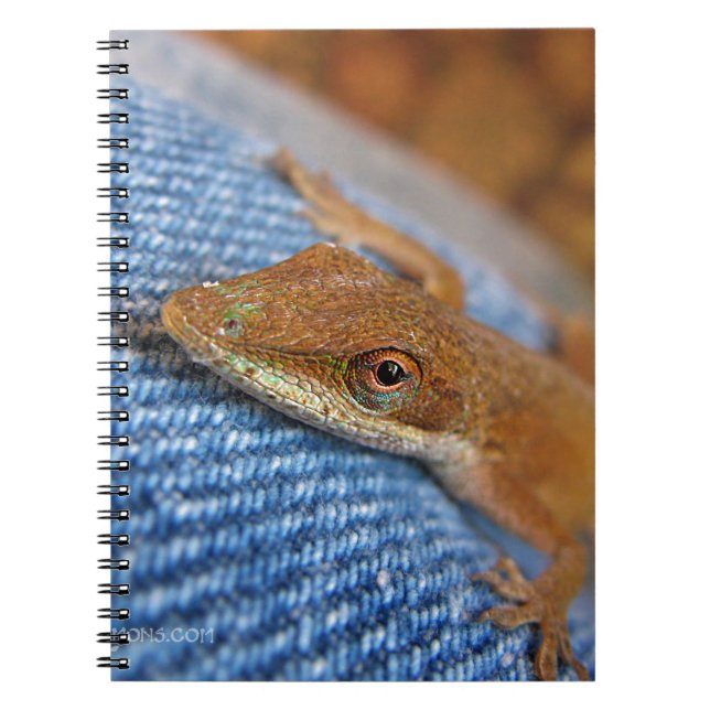 Caderno Espiral Green Anole Lizard (Frente)