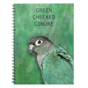 Caderno Espiral Green Cheked Conure - belo pássaro