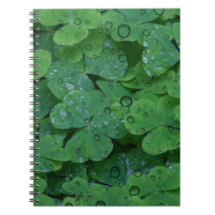 Caderno Espiral Green Irish Clover