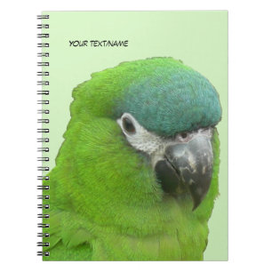 Caderno Espiral Green Lorikeet Cust Notebook de cores Text & BG