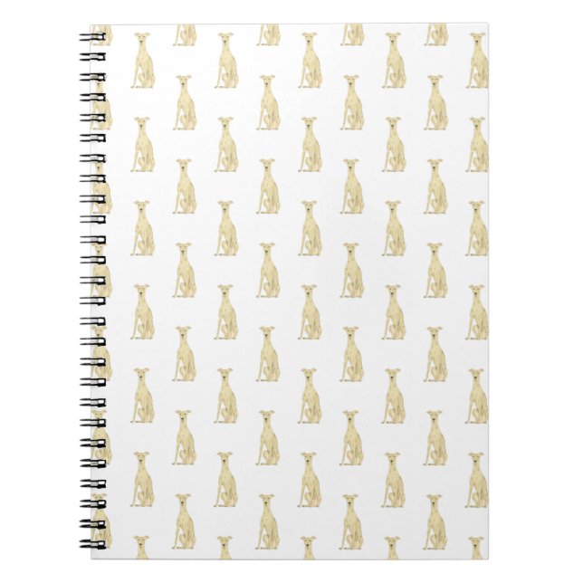 Caderno Espiral Greyhound (Fawn Tan) (Frente)