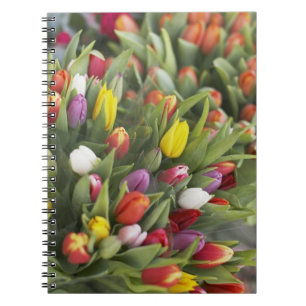 Caderno Espiral Grupos de tulipas coloridas