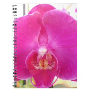 Caderno Espiral Guda