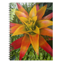 Caderno Espiral Guzmania Bromeliad Plant Floral