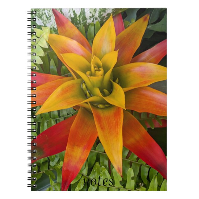 Caderno Espiral Guzmania Bromeliad Plant Floral (Frente)