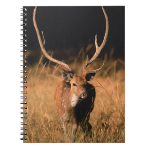 Caderno Espiral Habitat Natural Chital   Parque Nacional de Bandha
