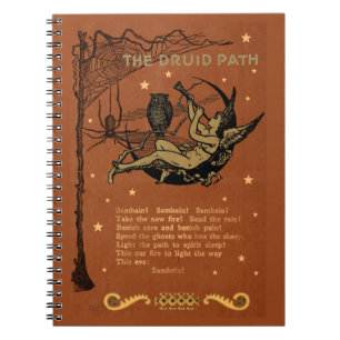 Caderno Espiral Halloween Samhain Fairy Owl Spider Web