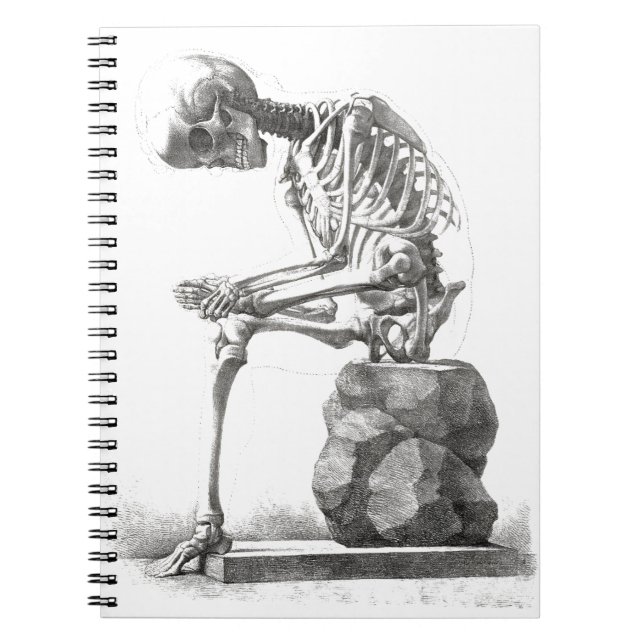 Caderno Espiral Halloween Skeleton Sitting Anatomia (Frente)