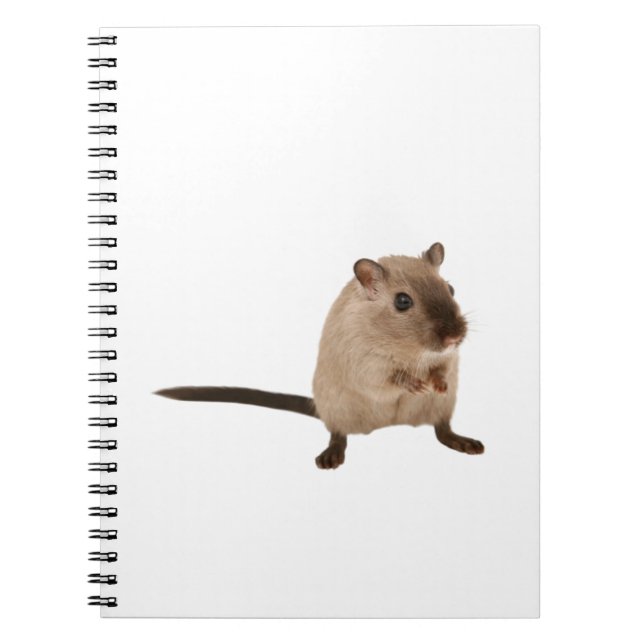 Caderno Espiral hamster fofo (Frente)