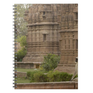 Caderno Espiral Hanuman Langurs ou Black-Face, Common ou Cinza