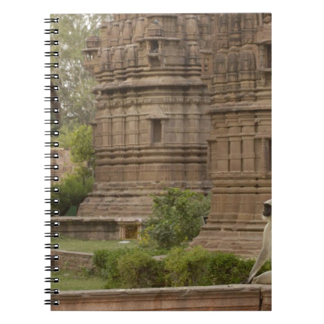 Caderno Espiral Hanuman Langurs ou Black-Face, Common ou Cinza (Frente)