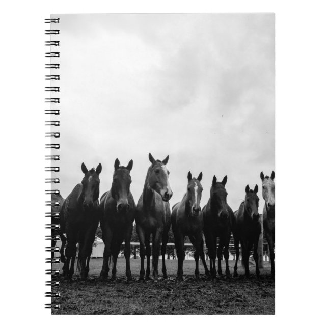 CADERNO ESPIRAL HARAS LA POLACA (Frente)