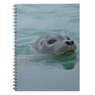 Caderno Espiral Harbor Seal nadando no lago glacial de Jokulsarlon