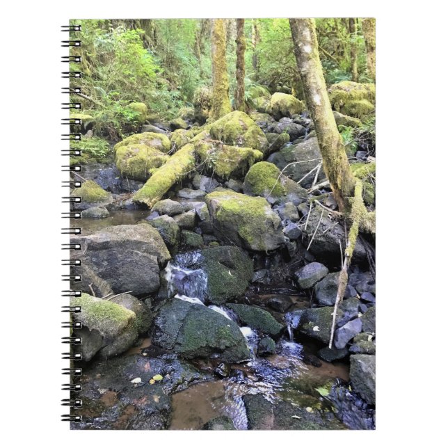 Caderno Espiral Hardy Creek, Oregon (Frente)