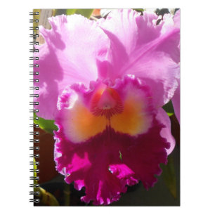 Caderno Espiral Harlinde