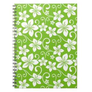 CADERNO ESPIRAL HAWAII AZUL (LIMÃO)