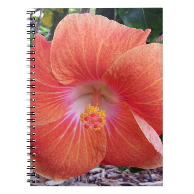 Caderno Espiral Hawaii Hibiscus Flowers (Frente)
