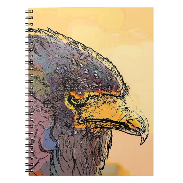 CADERNO ESPIRAL HAWK (Frente)