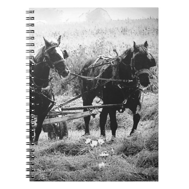 Caderno Espiral Hay Time in Black and White (Frente)