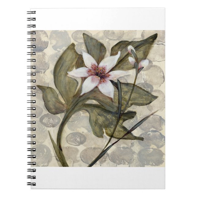 Caderno Espiral HAZ26 Amazónia 4.tif (Frente)