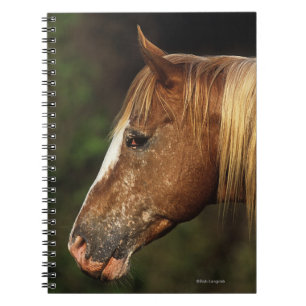 Caderno Espiral Headshot 1 do cavalo do Appaloosa
