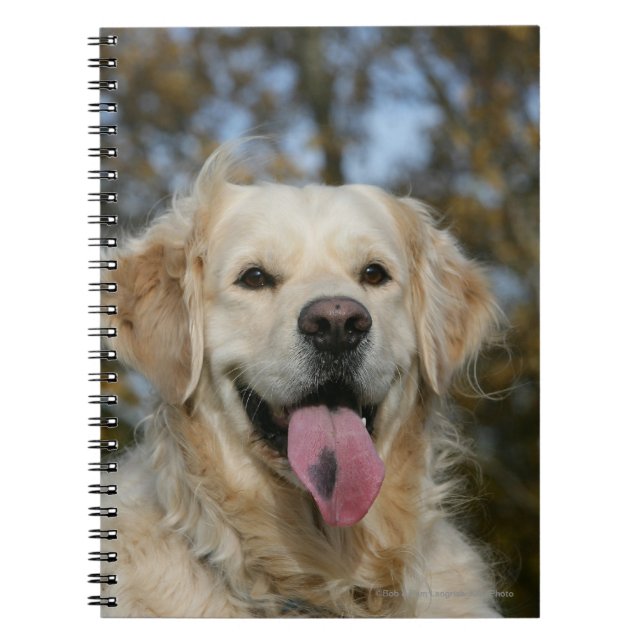 Caderno Espiral Headshot 3 do golden retriever (Frente)