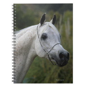Caderno Espiral Headshot árabe 1 do cavalo