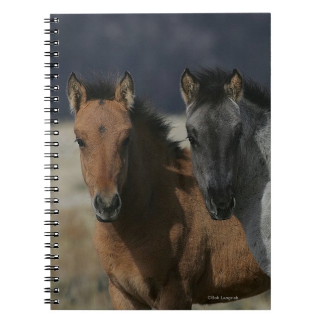 Caderno Espiral Headshot do potro do mustang (Frente)