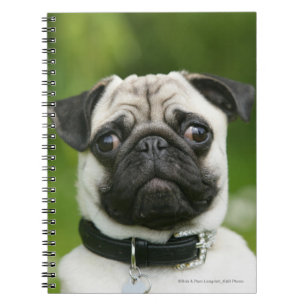 Caderno Espiral Headshot do Pug