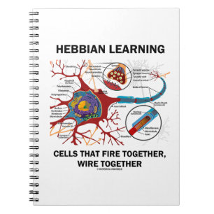 Caderno Espiral Hebbian que aprende as pilhas que ateiam fogo