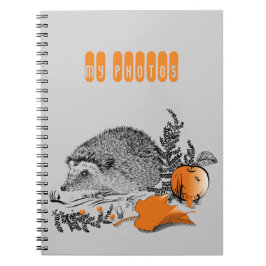 Caderno Espiral Hedgehog