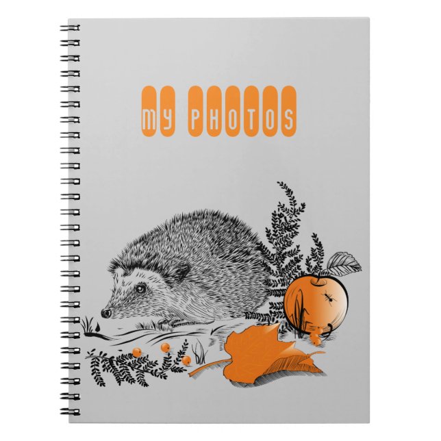 Caderno Espiral Hedgehog (Frente)