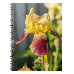 Caderno Espiral Heirloom Iris