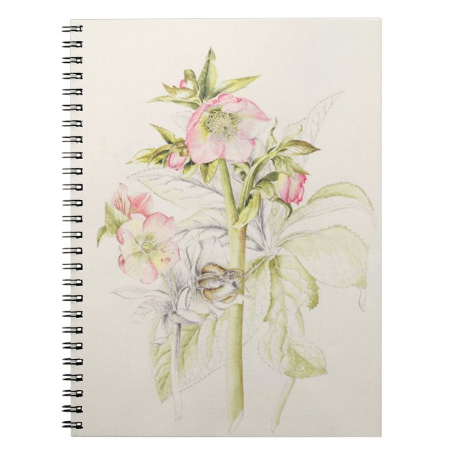 Caderno Espiral Hellebores (Frente)