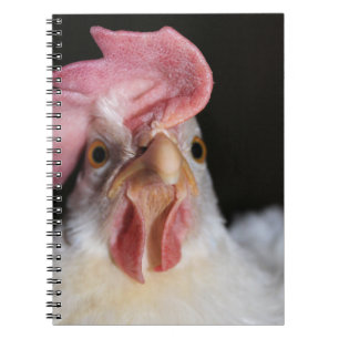 Caderno Espiral Hen