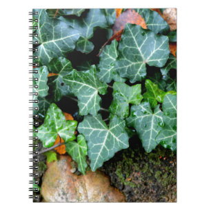 Caderno Espiral Hera botânica verde e pedra de campo