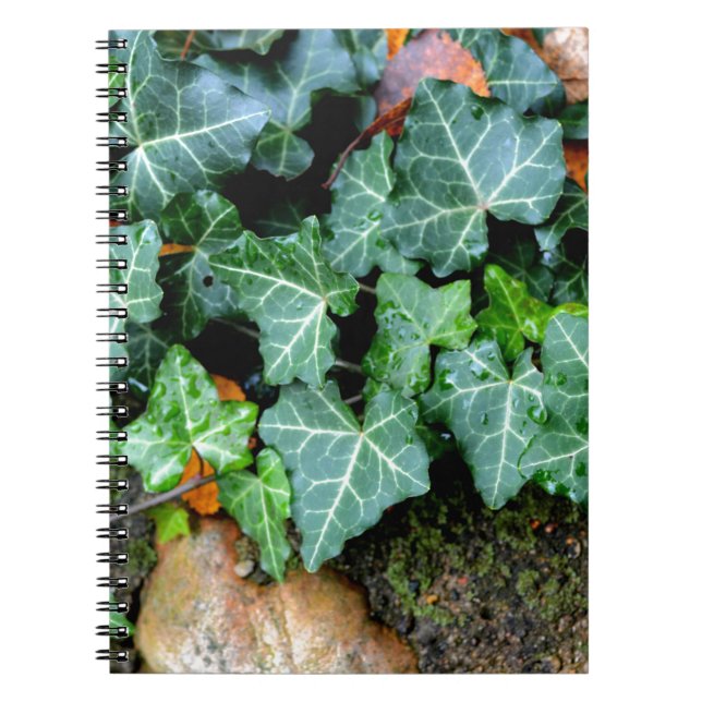 Caderno Espiral Hera botânica verde e pedra de campo (Frente)