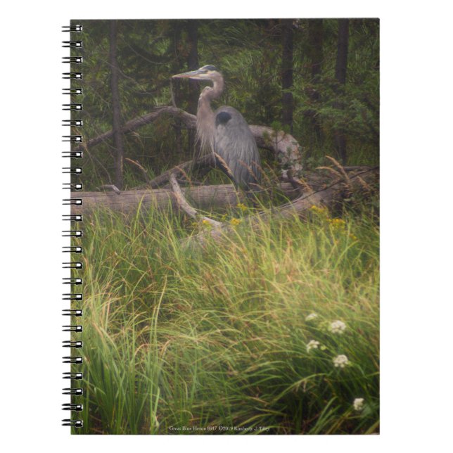 Caderno Espiral Herão Azul excelente 8917 (Frente)