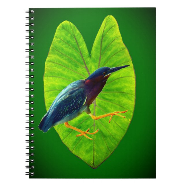 Caderno Espiral Herão verde (Frente)