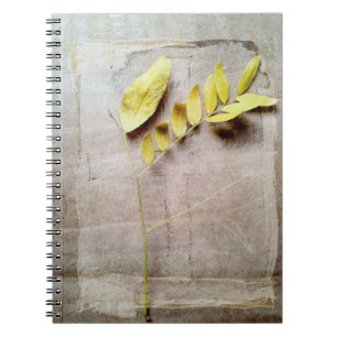 Caderno Espiral Herbário V