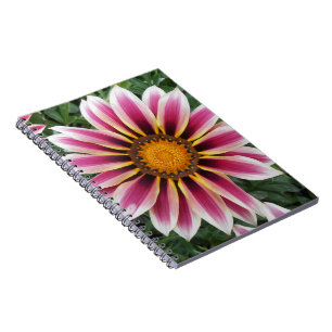 Caderno Espiral Hereford