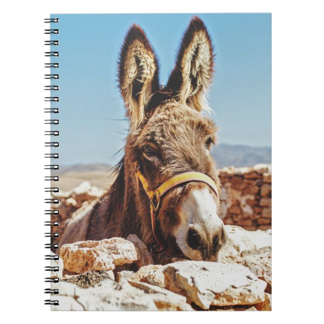 CADERNO ESPIRAL HI DONKEY (Frente)
