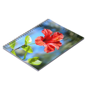Caderno Espiral Hibisco Vermelho