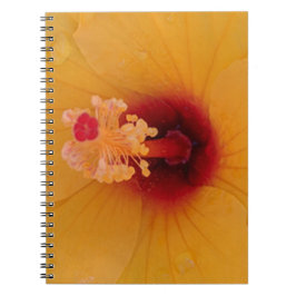 Caderno Espiral Hibiscus