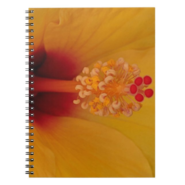 Caderno Espiral Hibiscus (Frente)