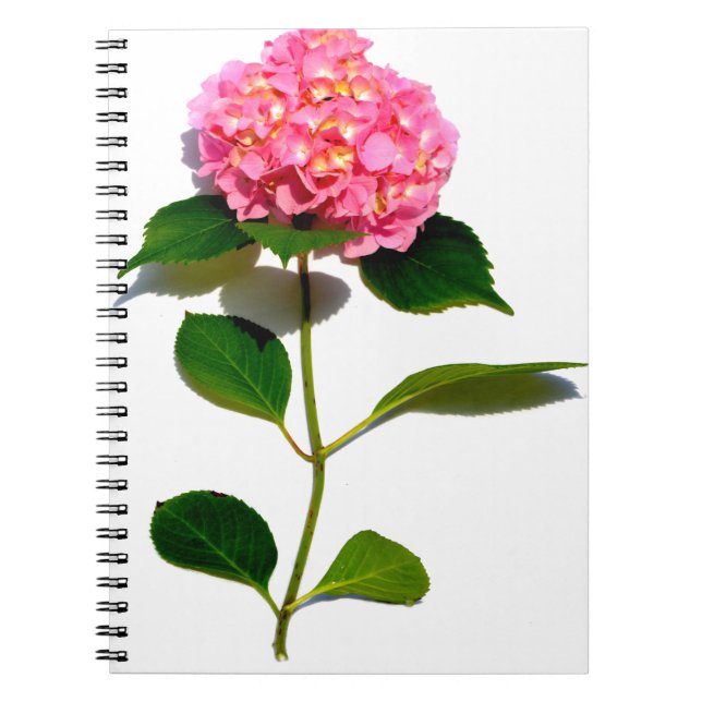Caderno Espiral Hídranga cor-de-rosa Elegante (Frente)